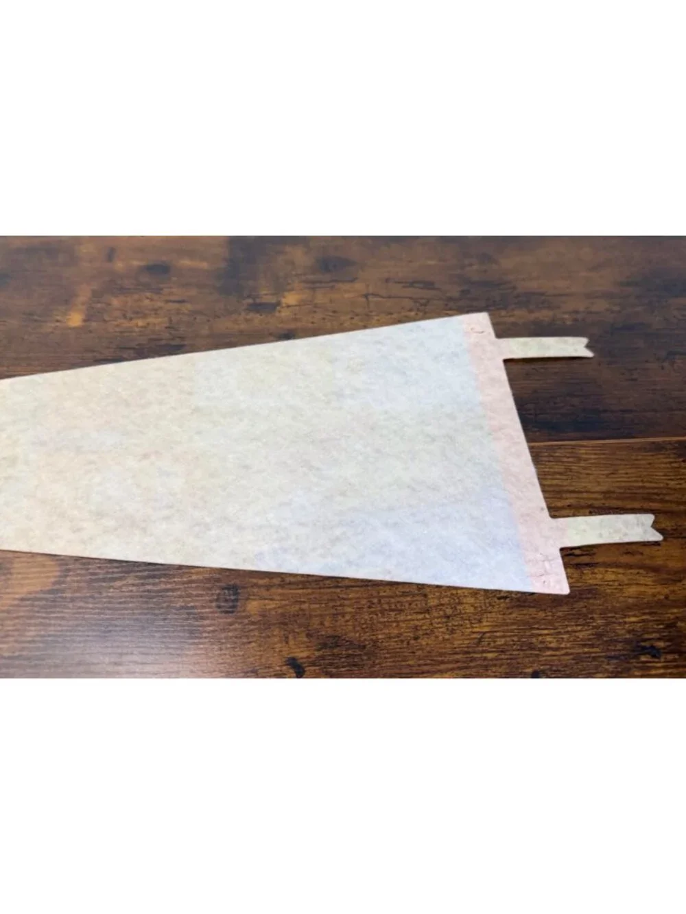 Vintage Aquarena Springs San Marcos Texas Souvenir Pennant 25 inches